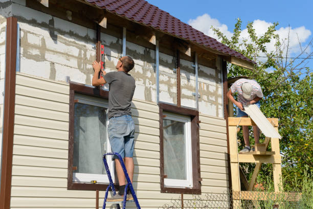 Best Fascia and Soffit Installation  in Davenport, IA