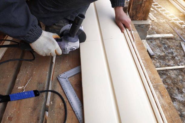 Best Brick Veneer Siding  in Davenport, IA