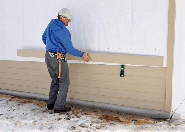 Best Aluminum Siding Installation  in Davenport, IA
